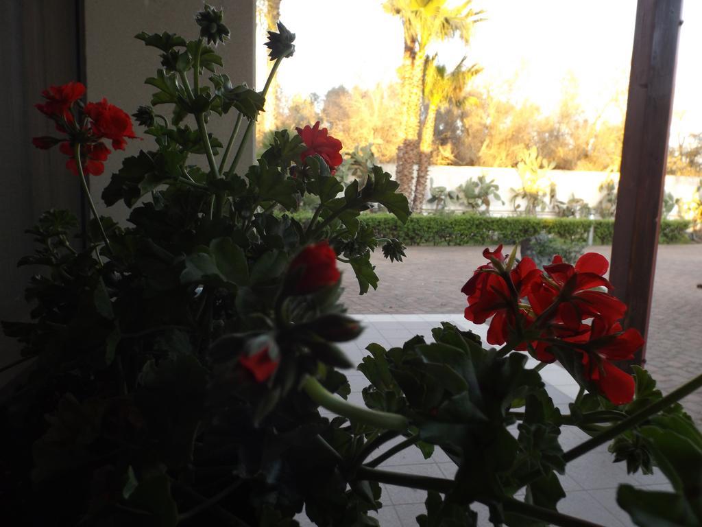 Villetta Del Salento Exclusive B&B Gallipoli Buitenkant foto